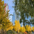 이수역 5번출구 교통섬 구산타워 앞 | 서울 단풍 BEST 12 숨은 핫플 총정리 – 야간명소·데이트코스까지!