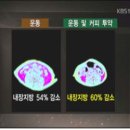 자연식단 이미지