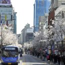 연세로 이미지