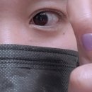 네일히포