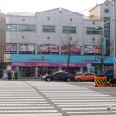자미온，알레르망