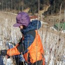 영하농장 이미지