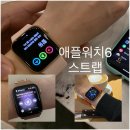 오리엔트특수시계 | 애플워치6(Apple Watch Series 6) 언박싱 후기 스트랩 3개 사용기(정품 스테인리스스틸/스포츠루프&밴드)