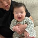 일기 - 큐브이유식(그리고 이유식 지옥), 이앓이, 부가부 드래곤플라이 고장, 태안여행, 압타밀 갈아타기
