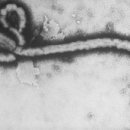 범천1파출소 이미지