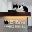 함께냥 로고
