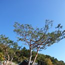 사) 생활불교 조게종 공주 약사사 수목장 하늘공원 이미지