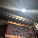 도담 도화