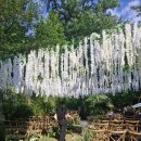 남산뜰 화장실 | 서울 남산뜰 웨딩 결혼식 하객 후기 : 식사 주차 셔틀 솔직 장단점