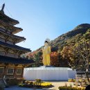 속리산 법주사 | 속리산 단풍 구경 &amp; 법주사 방문 후기｜가을여행 명소