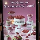 벌크커피하남메가박스점 | 광주 하남 카페 디저트39 메뉴 추천 다이어트음료