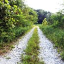 저금어지길 이미지