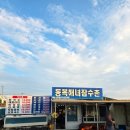 해녀횟집 - 태안군 모항항길 122-21 | 제주 해녀촌 횟집 동복리해녀잠수촌 물회 맛집 후기