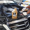 골드모터스 이미지