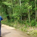 노량진중앙시장 이미지