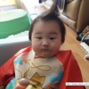 쭈쭈바PC 이미지