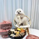 댕몽드 푸드 | 김해 내외동 반려동물 수제간식 ❤️ 댕몽드푸드 후기