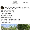 파란대문