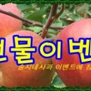 솔지네 이미지