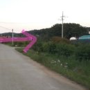 아리랜드 이미지