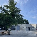 모운동길 이미지