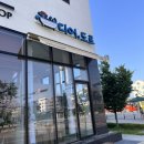 솜솜 애견미용 | 디어도트:평택 고덕 애견미용실 완전 만족 후기