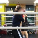 복싱체육관 이미지
