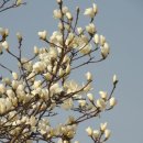 내면의 강함과 외면의 단단함 이미지