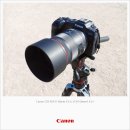 L MOTORS | 캐논 RF 50mm f1.4L VCM 후기 실외 촬영 편