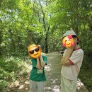 부영칼국수 이미지