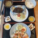 대구 동구 동촌유원지 맛집 애견동반식당 아유 함박정식,치킨난반정식 내돈내산 후기