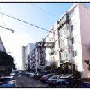 삼일아파트 여자 이미지