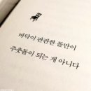 책속의죽비소리 - (864) 바닥이 판판한 돌만이 주춧돌이 되는 게 아니다/ 작가 정호승 이미지