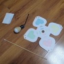 합기도 심무도관 이미지