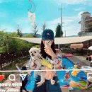 도화별장 이미지