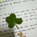 나와의 싸움은 지는 것도 이기는 것도 없나?… 백수이야기