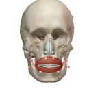 아이돌짐 이미지