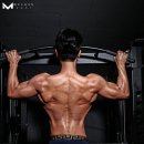 글로리짐개인PT 이미지