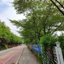 광교산공영자전거대여소(버스종점) 이미지