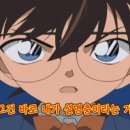 퍼피아일랜드 이미지