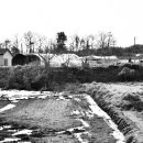 호수의오후 이미지