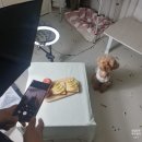 청송바른사과