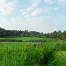 대구컨트리클럽 이미지