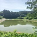 도산소류지 네이버블로그