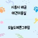 오늘도 예쁜 그루밍 이미지