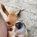 비동스테이민박 네이버블로그