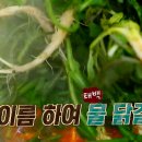 태백닭갈비 이미지