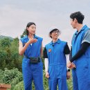 노엘코리아 이미지