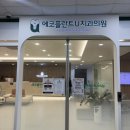 에코55플란트치과의원 네이버블로그