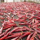 충남고추방아간 이미지